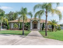 Charming home featuring a lush, green lawn, palm trees, and an inviting walkway to the beautiful double-door entrance at 2638 E Knights Griffin Rd Rd, Plant City, FL 33565