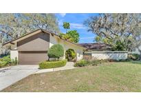 Charming single-Gathering home featuring a well-manicured lawn and attached two-car garage at 1316 Cambron Dr, Valrico, FL 33596