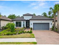 Charming single-story home featuring a gray-tone exterior, landscaped front yard, and a two-car garage at 20159 Umbria Hill Dr, Tampa, FL 33647