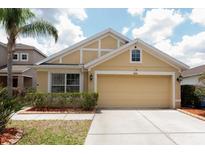 Charming one-story home featuring a two-car garage, manicured lawn and beautifully landscaped front yard at 12654 Belcroft Dr, Riverview, FL 33579