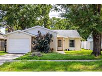 Charming single-story home with a well-maintained lawn and mature trees provides great curb appeal at 12212 Hidden Brook Dr, Tampa, FL 33624