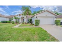 Charming single-story home featuring a well-manicured lawn, lovely landscaping, and a two-car garage at 4223 Amber Ridge Ln, Valrico, FL 33594