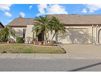 Attractive single-story home with palm trees and well-maintained landscaping at 508 Foxwood Blvd, Englewood, FL 34223