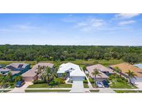 Aerial view of charming homes with manicured lawns and lush landscaping in a peaceful neighborhood with beautiful treeline in the distance at 213 Venice Palms Blvd, Venice, FL 34292