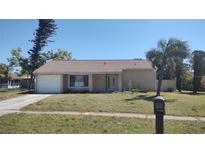 Charming single-story home with a well-maintained lawn and a mailbox in front at 3224 Mount Hope St, North Port, FL 34287