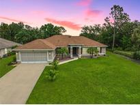 Charming single-story home featuring a well-maintained lawn, a two car garage and tropical landscaping at 2834 Coolidge Ave, North Port, FL 34286