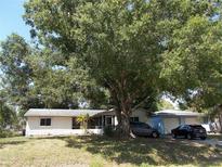Cozy single story home featuring a large tree in the front yard and a detached two car garage at 2682 Yamada Ln, North Port, FL 34286