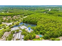 Stunning aerial view of a lakeside home with a private pool and lush green surroundings at 3382 Mermoor Dr # 3201, Palm Harbor, FL 34685