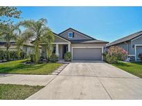 Charming single-Gathering home with a well-manicured lawn, mature landscaping, and a two-car garage at 12014 Creek Preserve Dr, Riverview, FL 33579