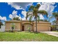 Charming single-story home with a well-manicured lawn, mature palm trees and an attached two-car garage at 4150 Otoole St, North Port, FL 34291