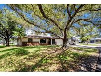 Charming single-story home featuring lush landscaping and a large shade tree in the front yard at 4227 Blossom Rd, Venice, FL 34293