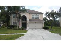 View 14536 Weeping Elm Dr Tampa FL