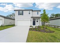 View 7317 Boggy Creek Pl Parrish FL