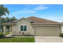 One-story house with tan exterior and landscaped yard at 11158 Golden Silence Dr, Riverview, FL 33579