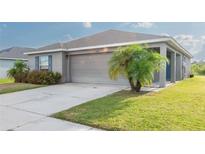 Single-story home with a gray exterior, two-car garage, and palm trees at 6609 Bayston Hill Pl, Zephyrhills, FL 33541