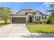 One-story home with a two-car garage and well-manicured lawn at 8064 Olive Brook Dr, Wesley Chapel, FL 33545