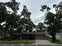 Ranch-style home with mature trees and driveway at 4706 W Estrella St, Tampa, FL 33629