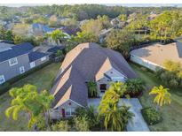 Aerial view of a single-Gathering home featuring lush landscaping, a long driveway, and a neutral color palette exterior at 11909 Mandevilla Ct, Tampa, FL 33626