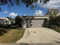 Single-Gathering home with attached garage and well-maintained landscaping at 13619 Twin Lakes Ln # 15, Tampa, FL 33618