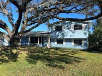 Ranch style home with light blue exterior, large tree, and grassy yard at 6709 Mornay Cir, Tampa, FL 33615