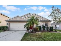 Charming single-story home with well-manicured lawn and a two-car garage, nestled under a sunny sky at 30350 Grymes Dr, Wesley Chapel, FL 33545