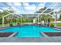 Stunning in ground pool with black lava rock accents and tropical landscaping at 11419 Donneymoor Dr, Riverview, FL 33569