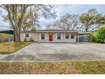 Charming single-story home featuring a red front door, light colored exterior paint, and a spacious front yard at 8528 Gold Ridge Cir, Tampa, FL 33619