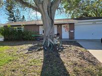 Charming brick home featuring a mature tree, tire swing and a white bicycle at 4706 Lansing Ne St, St Petersburg, FL 33703