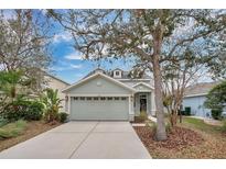 Charming single-story home with a two-car garage and well-maintained landscaping at 15121 Searobbin Dr, Lakewood Ranch, FL 34202