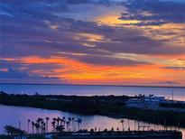 Breathtaking sunset view overlooking the water with vibrant colors in the sky and palm trees in the foreground at 5120 Marina Way # 12003, Tampa, FL 33611