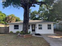 Charming single-story home featuring a mature shade tree and a well-maintained front yard and neutral paint at 3307 W Ballast Point Blvd, Tampa, FL 33611