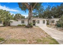 Charming single-story home featuring a concrete driveway and front yard with large tree at 3307 W Ballast Point Blvd, Tampa, FL 33611