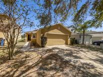 Inviting single-story home featuring a two-car garage and well-maintained front yard at 5211 Mango Fruit St, Seffner, FL 33584