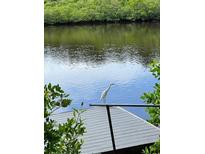 Scenic waterfront view showcasing a white heron perched on a gray dock rail with lush greenery backdrop at 5275 Miller Bayou Dr, Port Richey, FL 34668