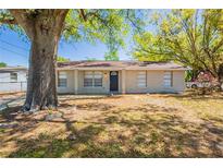 Charming single-story home with brick facade, a well-manicured lawn, and mature shade trees in a quiet neighborhood at 3201 Cord St, Tampa, FL 33605
