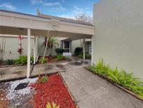 Charming front entrance featuring a covered walkway and beautiful landscaping at 13516 Palmwood Ln, Tampa, FL 33618