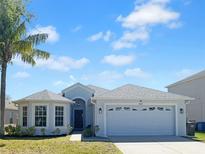 Charming single-Gathering home featuring a well-manicured lawn and a two-car garage at 15452 Long Cypress Dr, Ruskin, FL 33573