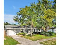 Charming single-story home with mature landscaping and a well-maintained lawn at 909 Kirkcaldy Way, Valrico, FL 33594