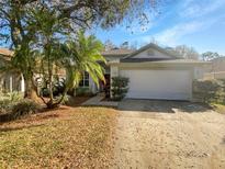 Charming single-story home with a two-car garage and mature landscaping, including palm trees at 11823 Derbyshire Dr, Tampa, FL 33626