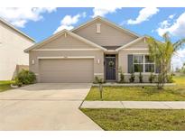 Charming single-story home with a well-manicured lawn, gray exterior, and an attached two-car garage at 8246 Dolphin Bluff Blvd, Wesley Chapel, FL 33545