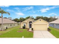 Charming single-story home with a well-manicured lawn and attached two-car garage at 13202 Golf Ridge Pl, Hudson, FL 34669
