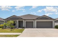 Charming single-story home with a well-manicured lawn and a two-car garage at 13581 Willow Bluestar Loop, Riverview, FL 33579