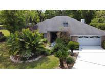Charming home featuring a well-manicured lawn and a lush array of tropical landscaping in the front yard at 5701 Ainsworth W Ct, Tampa, FL 33647