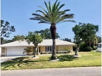 Charming home with a well-manicured lawn, mature landscaping and a large palm tree focal point at 201 Chardin Dr, Nokomis, FL 34275