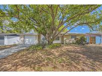 Charming single-story home featuring a lush, mature tree in the front yard at 3702 Pensdale Dr, New Port Richey, FL 34652