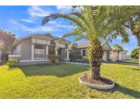 Charming single-story home featuring a manicured lawn and lush palm tree at 1647 Stable Trl, Palm Harbor, FL 34685