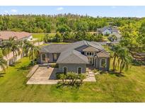 Stunning single-Gathering home with mature landscaping, basketball court, and welcoming entrance at 16805 Tobacco Rd, Lutz, FL 33558