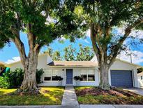 Charming single-story home with well-maintained lawn and mature shade trees at 2806 W Shelton Ave, Tampa, FL 33611