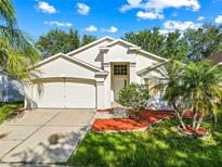 Charming single-story home featuring a well-manicured lawn, mature palm trees, and attached two-car garage at 12511 Lake Vista Dr, Gibsonton, FL 33534