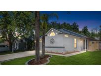 Charming home with a manicured lawn, decorative front, and a well-lit exterior, perfect for evening enjoyment at 754 Cape Cod Cir, Valrico, FL 33594